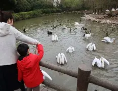 开云官方网站在线登陆-字母哥最新消息加盟勇士